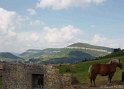 07 Dsc02491_La puncho